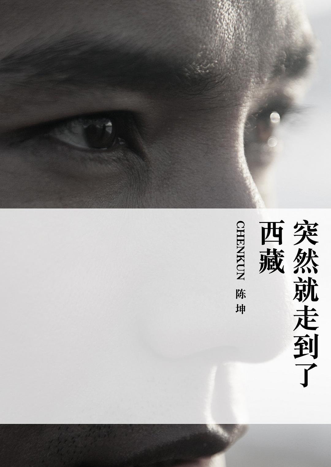 男演员歌手的陈坤写的关于西藏的书
