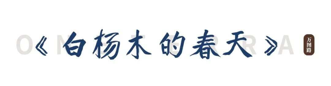 284808450_10_20240613103624158 黑神话悟空游戏大火后,山西旅行前可看的15本好书