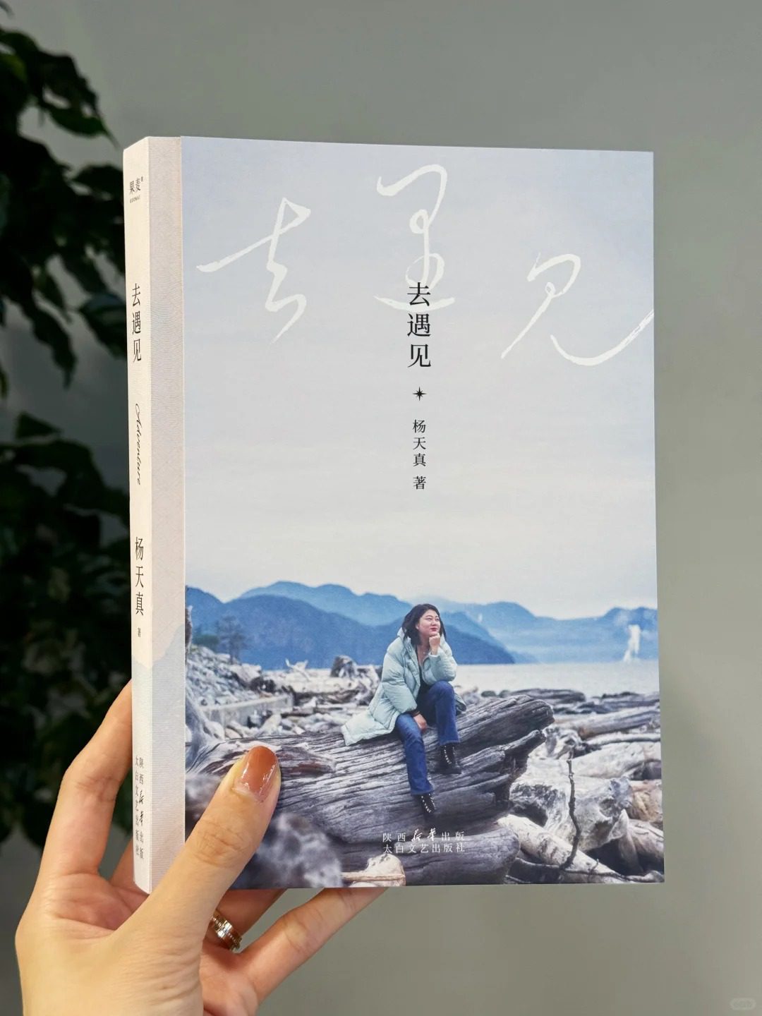 2024-07新书推荐-读书分享,去旅行《去遇见》